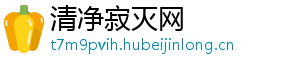 清净寂灭网